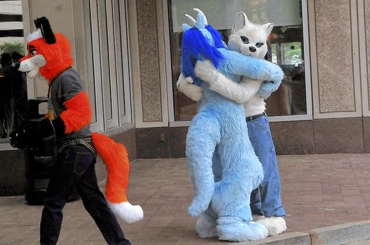 When fursuits cross with sports, 'Stupid Costume Enthusiasts' go